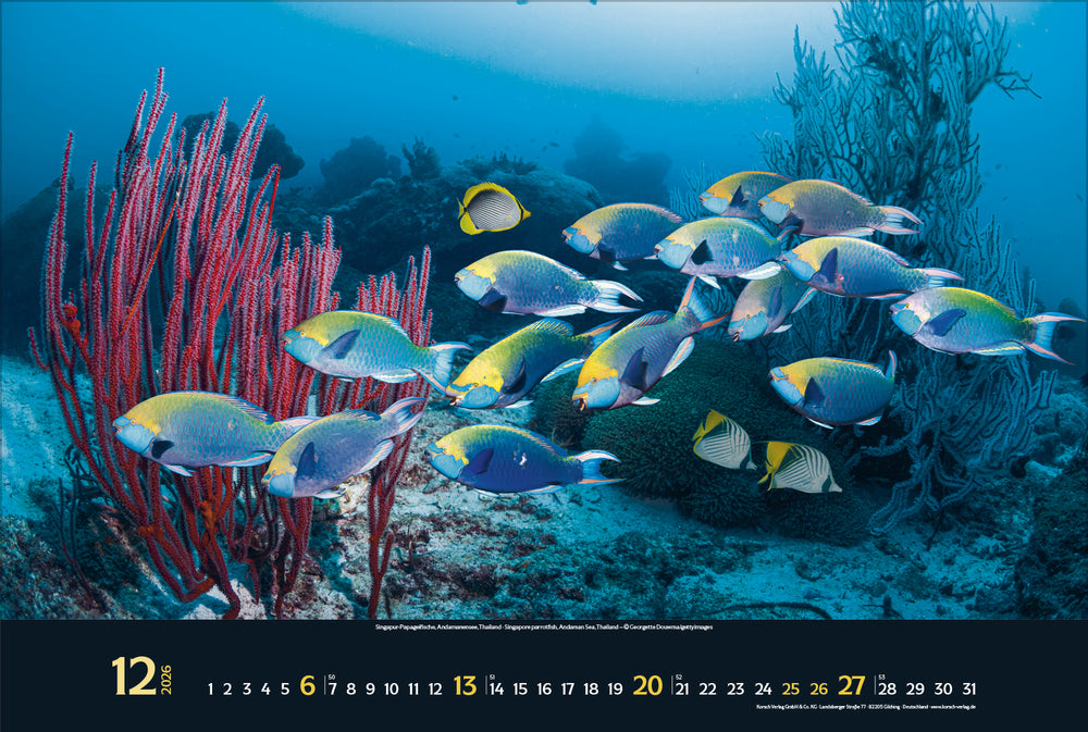 Korsch Verlag Magie der Meere – Bildkalender 2026 – 58 × 39 cm