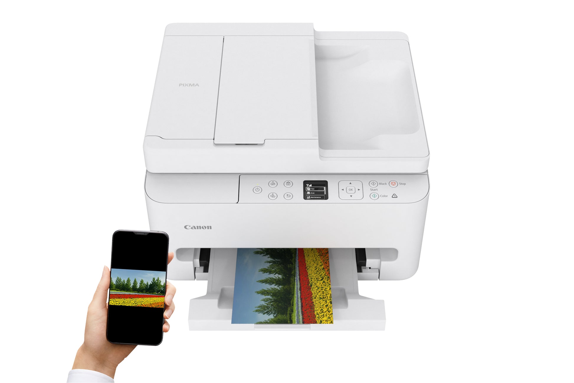 Canon PIXMA TS7550I – Farbiges Tintenstrahl-MFP A4, 3-in-1 – WLAN – ADF
