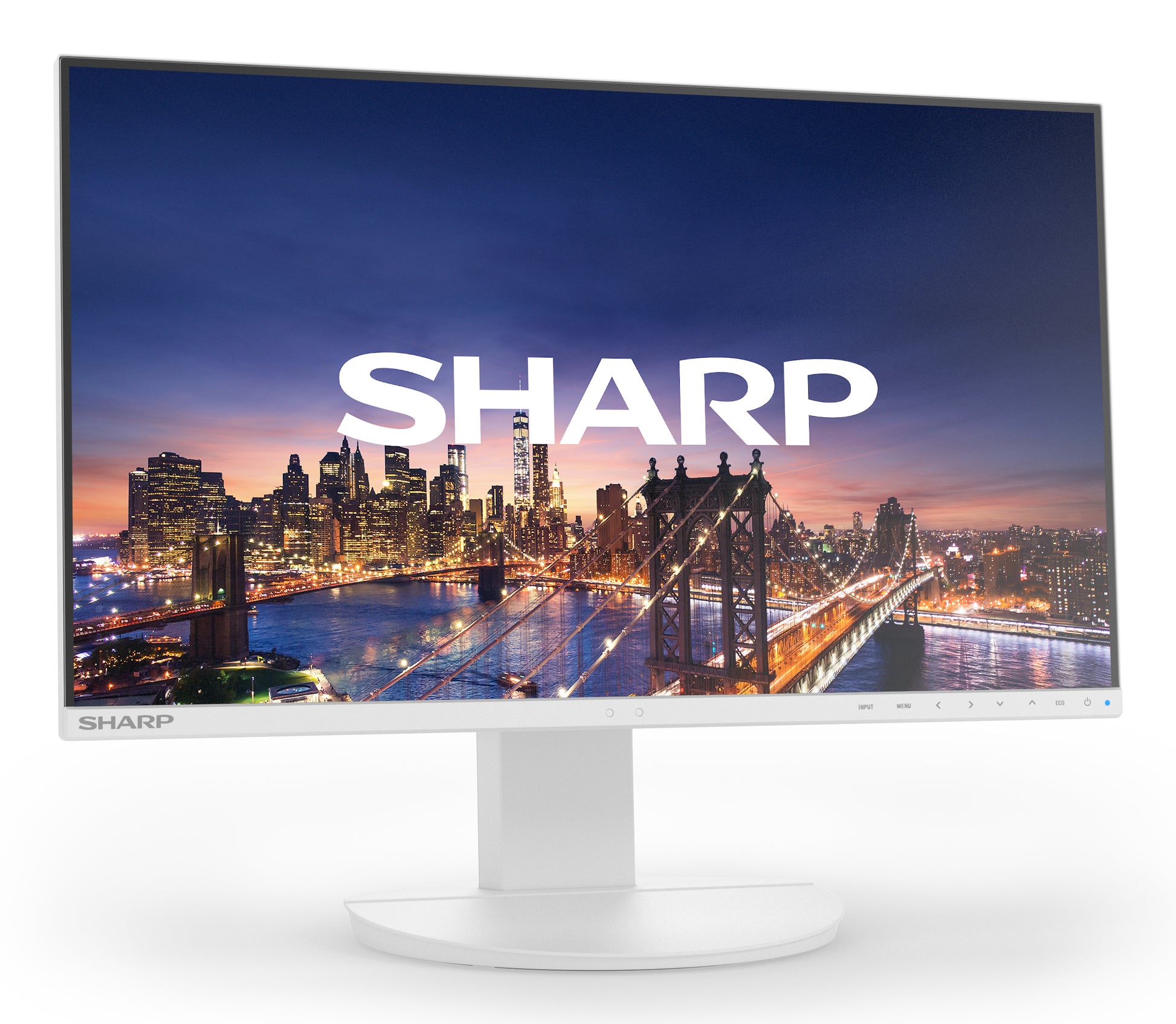 Sharp MultiSync EA241F – 24", 1920 × 1080 (Full HD), IPS