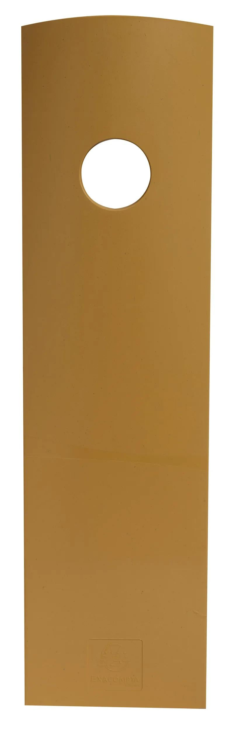 Exacompta Neo Deco Mag Cube Stehsammler – A4+ – Polystyrol (PS) – Gold – 266 × 82 × 305 mm