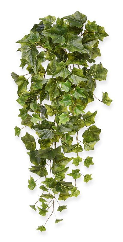 Botanic-Haus Efeu Hängepflanze – Ø 25 × 65 cm – Kunststoff, Grün, 6-teilig