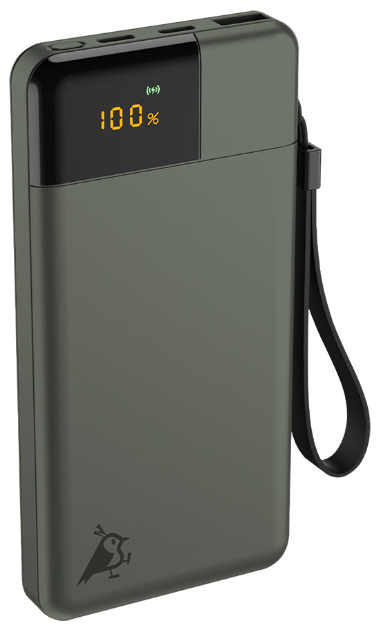 Aqiila Powerbird B10 Powerbank 10'000 mAh – 20 W PD, 2× USB-C, 1× USB-A, grün