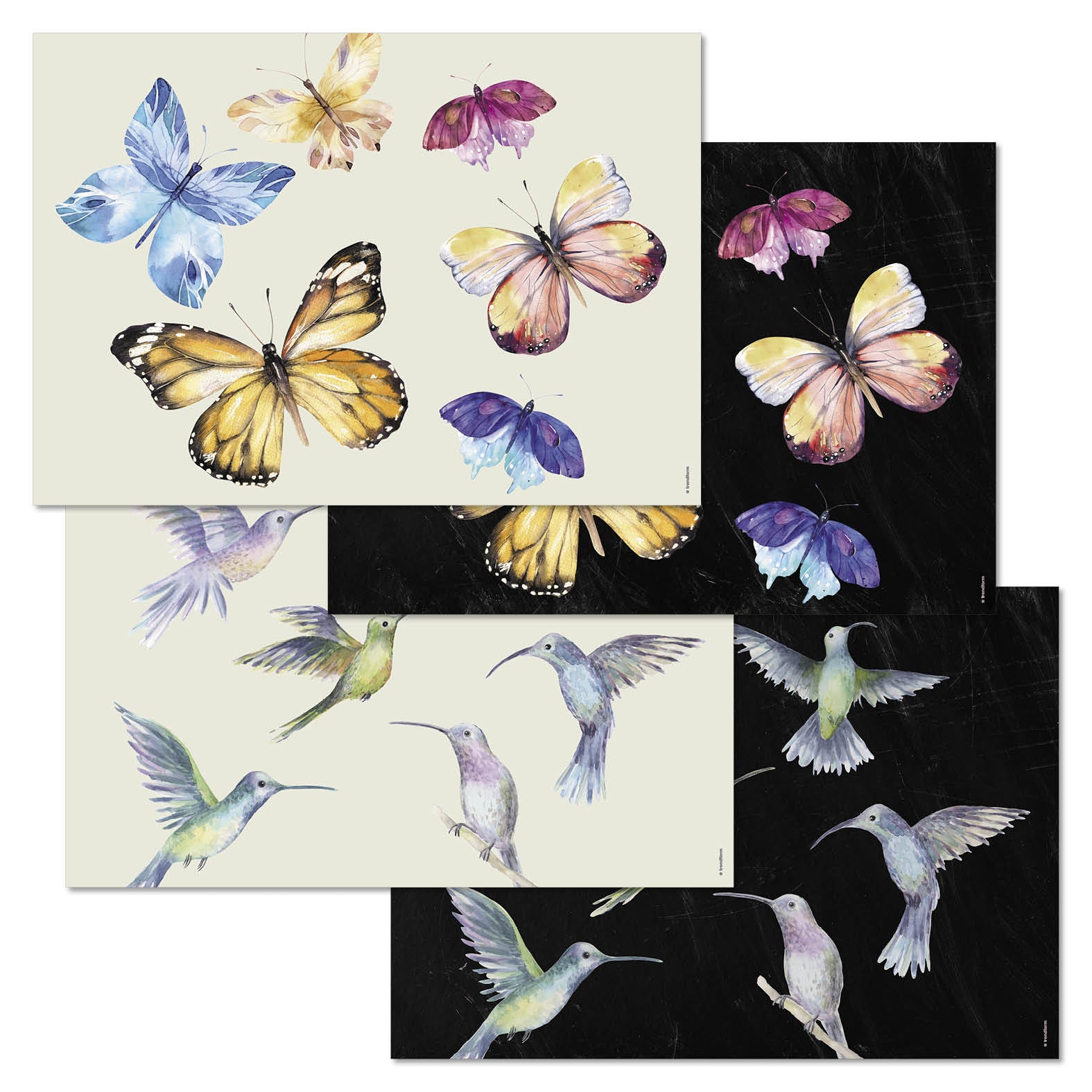 Trendform Tischset Fly Away – Papier, Schmetterlingsmotiv, 42 × 29,7 cm – 48 Stk.
