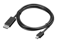 Lenovo Mini-DisplayPort-zu-DisplayPort Adapter