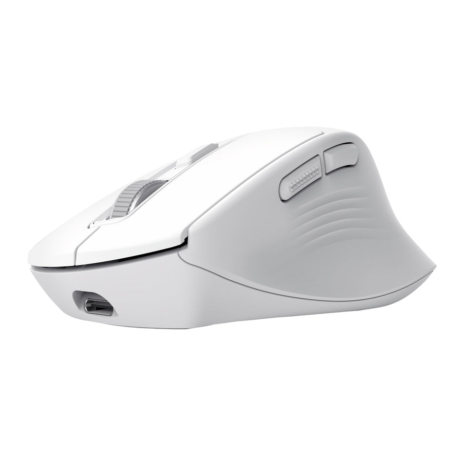 Trust Niven – Maus – Kabellos (Bluetooth/2,4 GHz), 3200 DPI, rechts, Weiss