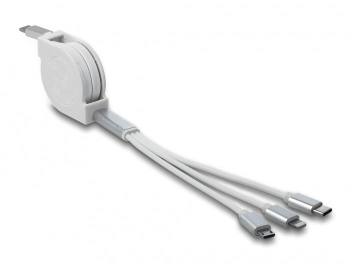 DeLOCK USB-Kabel – USB-C auf USB-C/Micro-USB-B/Lightning – USB 2.0 (480 Mbit/s) – 0,98 m