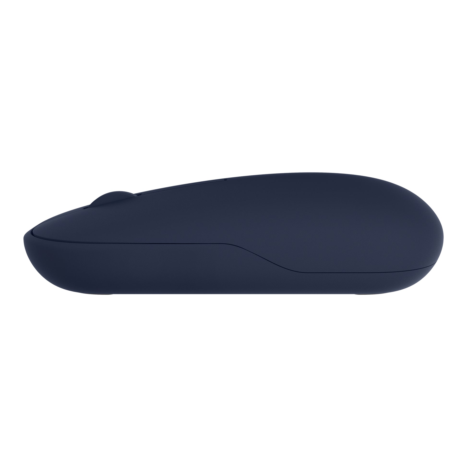 ASUS MD100 – Maus – Kabellos (Bluetooth/2,4 GHz), 1600 DPI, beidhändig, Blau, Hellblau