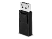 Lindy DisplayPort (Stecker) auf Mini DisplayPort (Stecker) Adapter