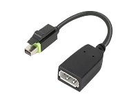 Lenovo Mini DisplayPort zu DisplayPort Adapter