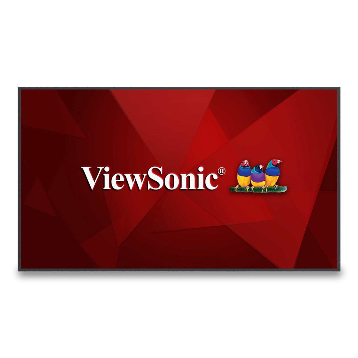 ViewSonic CDE6530 – 65" Signage-Display – 4K UHD – LCD (ADS) – Android 11 – 60 Hz – 450 cd/m² – 24/7