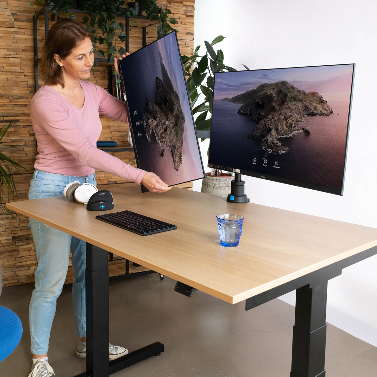 R-Go Tools CAPARO4 D2 – Monitorarm, Dual, 3–9 kg, Federdruck einstellbar, Schwarz/Silber