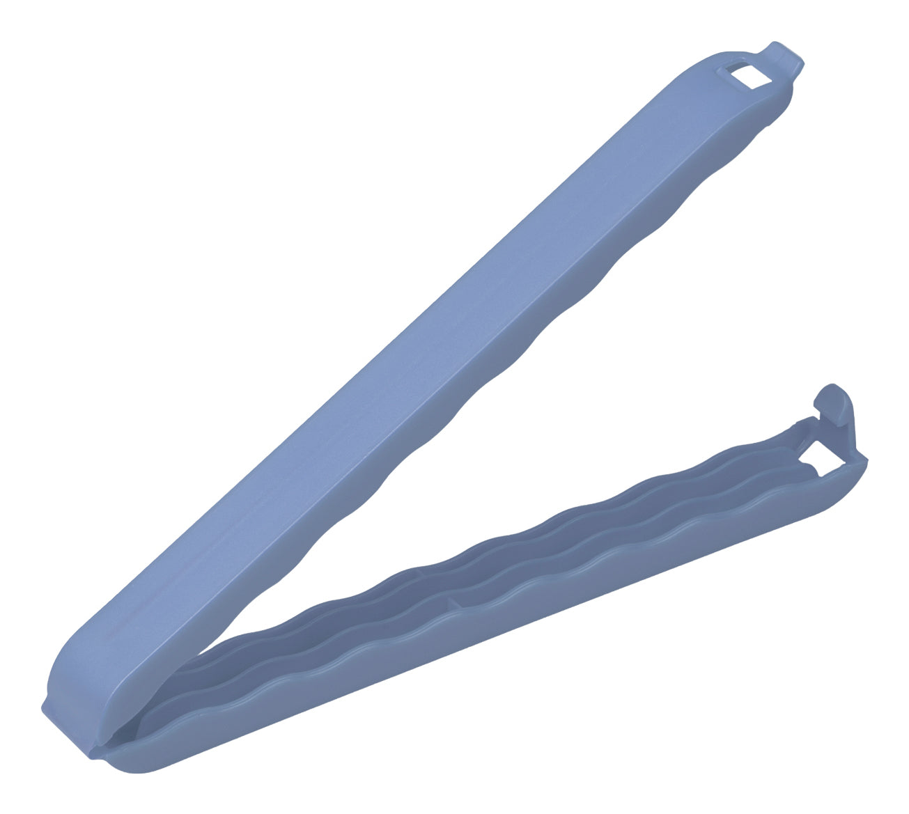 Rotho Verschlussclips-Set Onda – Grösse XL 20 cm – Blau – 2 Stück – Kunststoff