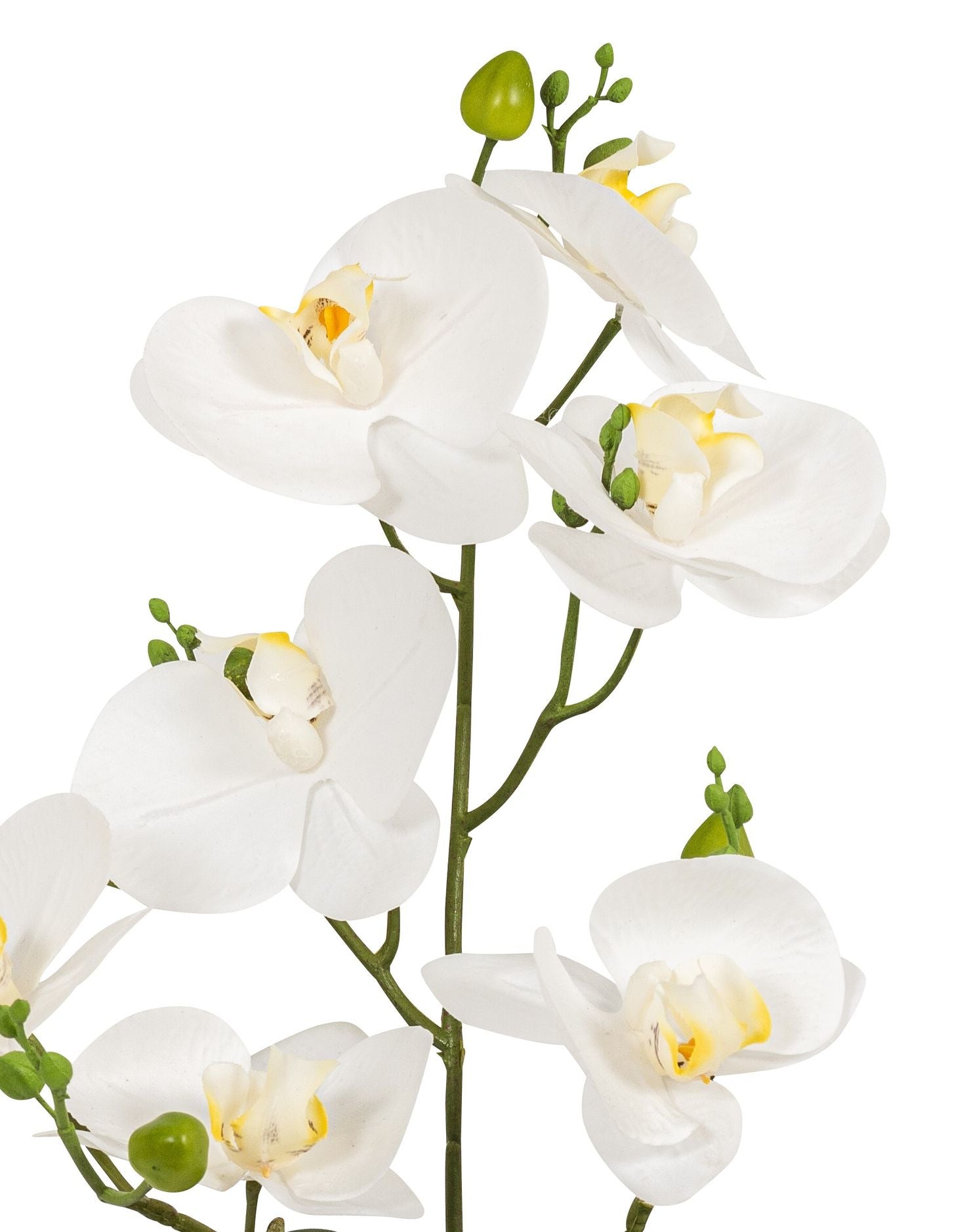 Botanic-Haus Phalaenopsis Künstliche Blütenpflanze – 67 cm – Kunststoff, weiss