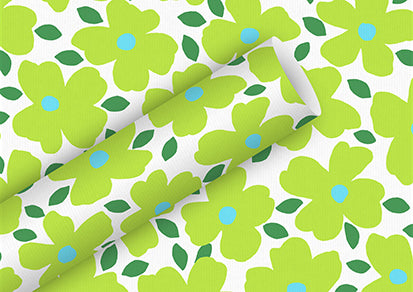 Braun + Company Geschenkpapier Rolle Everyday By Nature – Poppy Pop Fresh (Frühling) – Kraftpapier, 70 g/m2 – 700 × 2000 mm