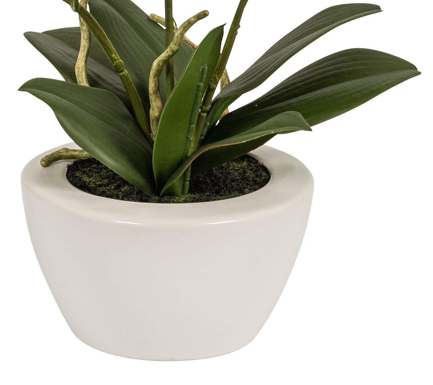 Botanic-Haus Phalaenopsis Künstliche Blütenpflanze – 67 cm – Kunststoff, weiss