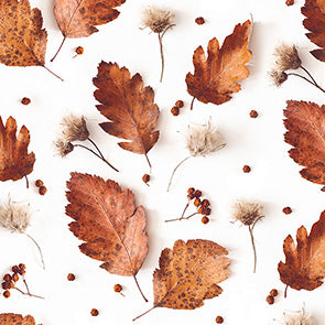 Braun + Company Soft Autumn Servietten – 33 × 33 cm, 3-lagig – 20 Stück