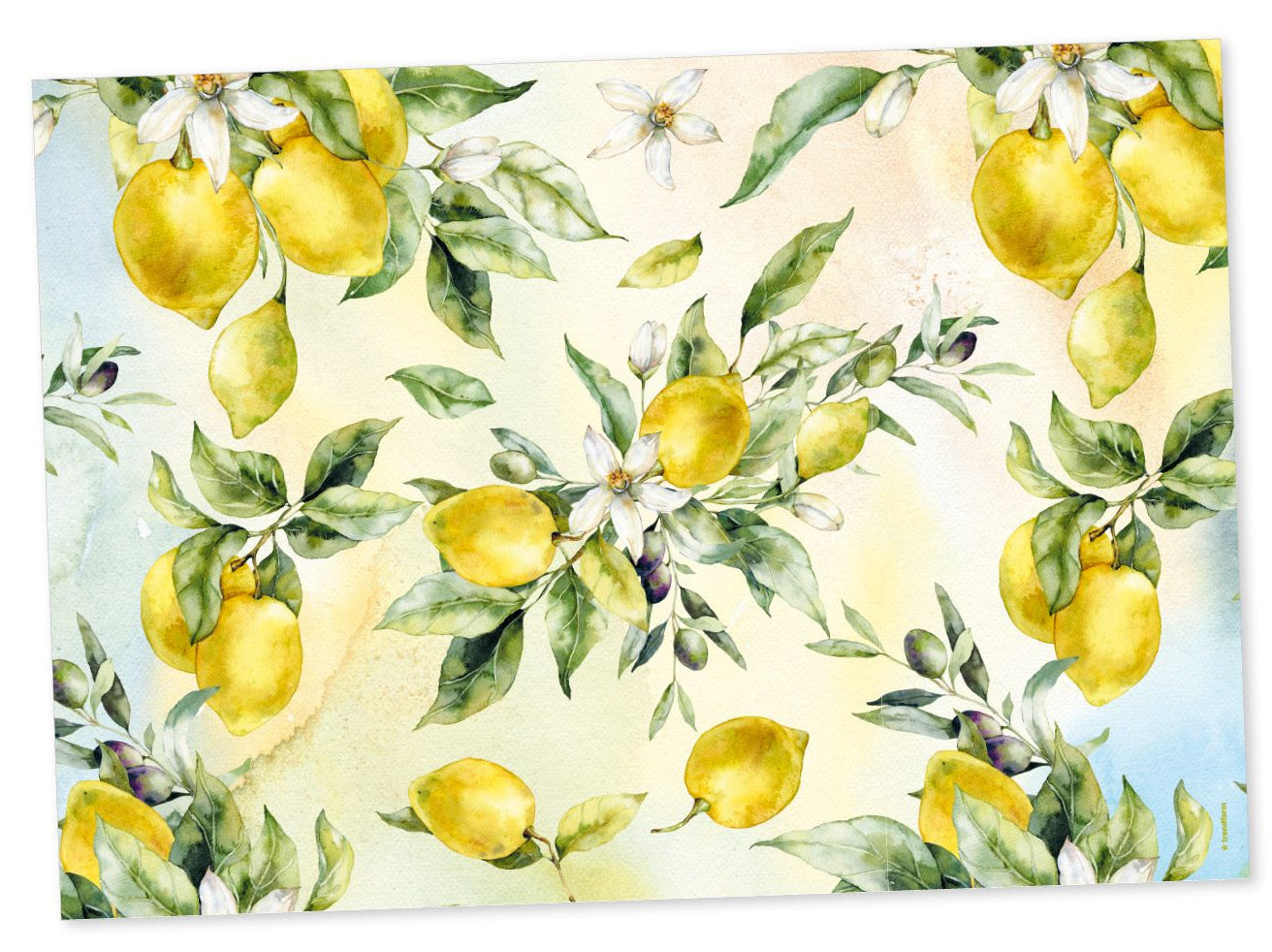 Trendform Tischset – 29,7×42 cm, 6er-Pack, Papier, Mediterrania, FSC