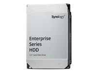 Synology HAS5310-12T – 12 TB 3,5" SAS HDD, 7'200 U/min, 512 MB Cache