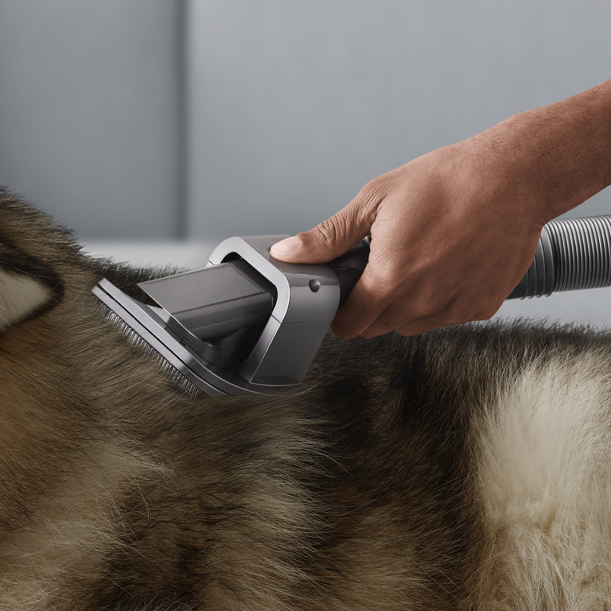 Dyson Staubsaugerbürste – 3 Stück, für Dyson V8/V10/V11 und andere
