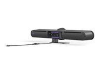 Logitech Rally Mic Pod