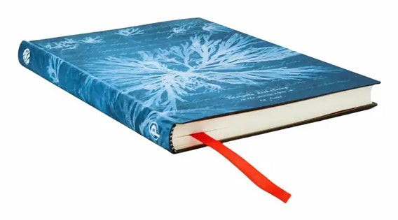 Paperblanks Notizbuch, 175 × 122 mm, blanko, gebunden, Hardcover, 80 Seiten – Meeresblumen (grünblau)