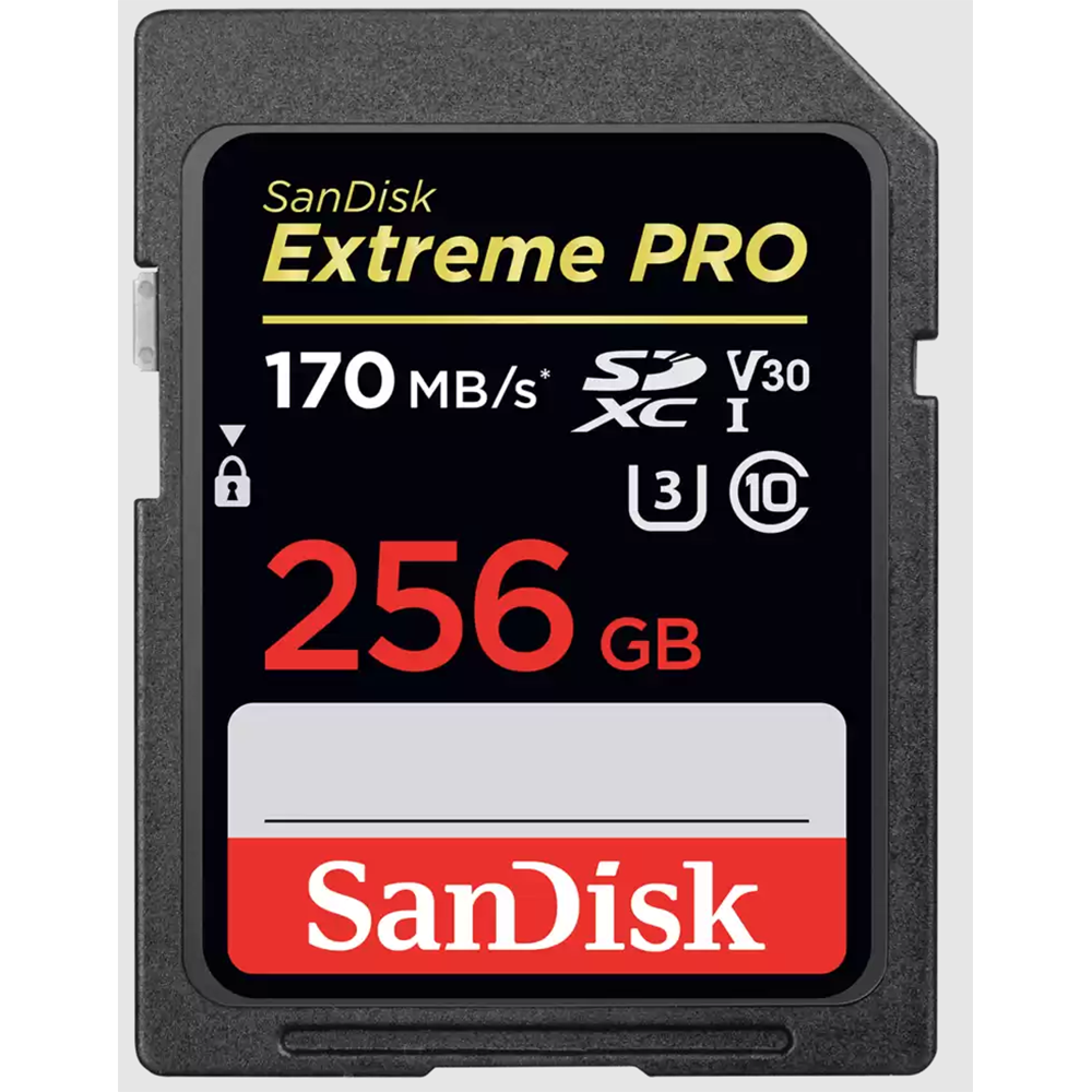 SanDisk EXTREME PRO Speichergerät – 256 GB, SDXC UHS-I, Klasse 10