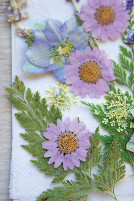 Stafil Gepresste Trockenblumen – Violett – 130 × 180 mm, 1 Stück