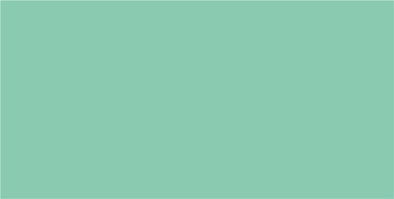 Folia Fotokarton – 500 × 700 mm – 300 g/m² – Mint – 1 Blatt