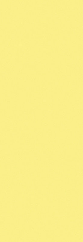 Biella Register – 50 × 145 mm, 25-teilig, PP, gelb