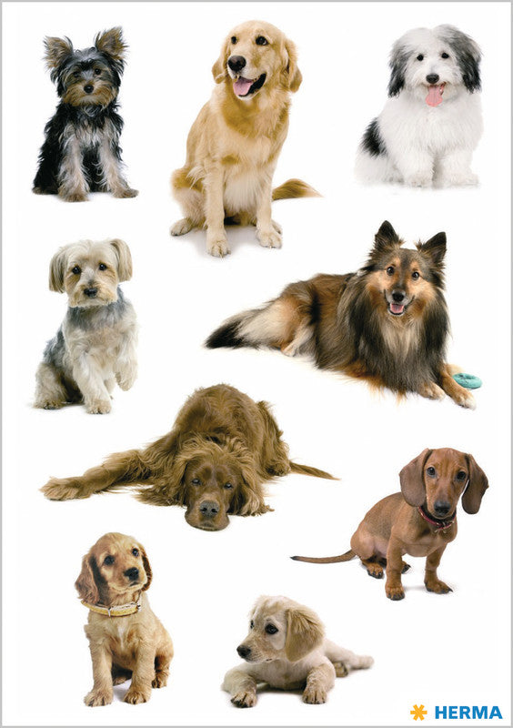 HERMA Schmucketiketten Decor Tiere – 84 × 120 mm – sortiert – 3 Blatt