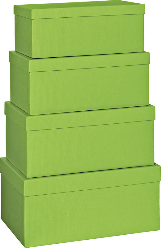 Stewo Geschenkbox – Neutral – 4-teilig, FSC-zertifiziert – Hellgrün