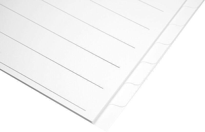 Biella Register – Vollformat, 12-teilig, Karton, weiss, unbedruckt, 11-fach Lochung, für A4 hoch