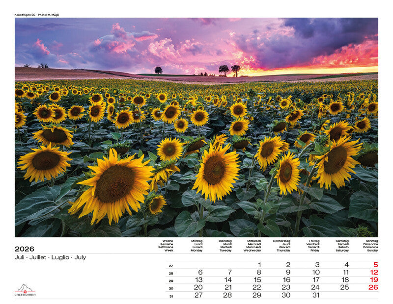 Calendaria Bildkalender Swiss Panorama 2026 – 40 × 31 cm – mit Aufhänger, mit Kartonrückwand