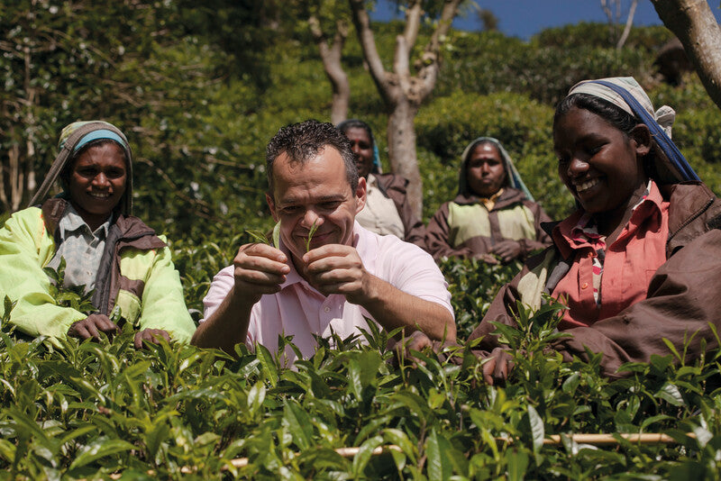 Sirocco Teebeutel – Bio, Karton