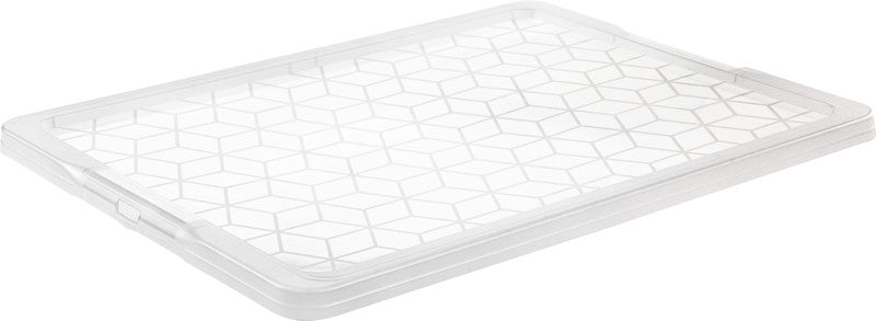 Rotho Deckel für Aufbewahrungsbox Evo Easy – für 11 l / 15 l, Kunststoff, transparent, 39,3 × 1,8 × 28,3 cm