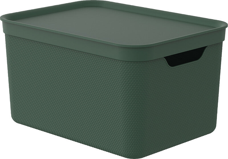Rotho Alvra Aufbewahrungsbox 16 l (mit Deckel) – Kunststoff – Grün