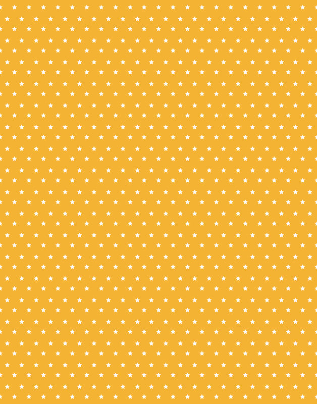 Clairefontaine Geschenkpapier – Herbst – gestrichenes Papier, 80 g/m2 – 70 cm × 2 m