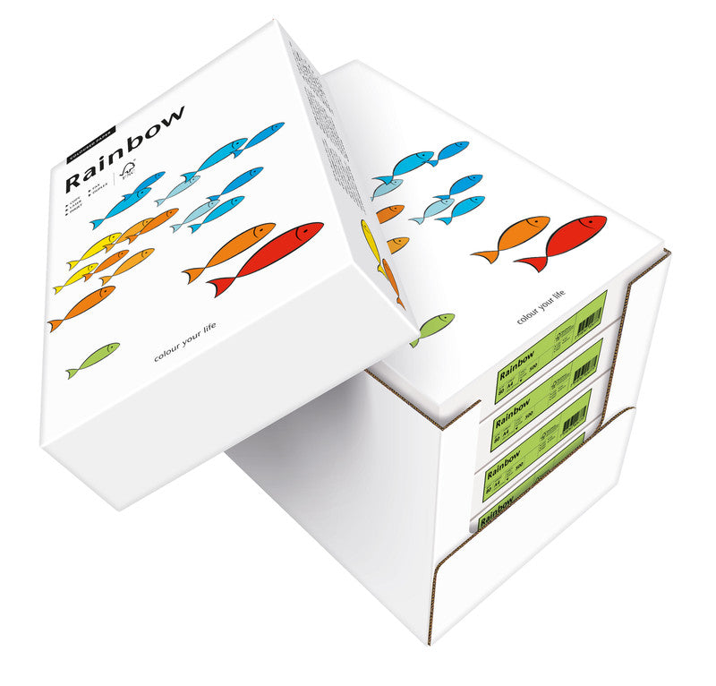 Scaldia Kopierpapier – A4, 80 g/m², Grün – für Inkjet/Laser/Kopierer – FSC – 500 Blatt