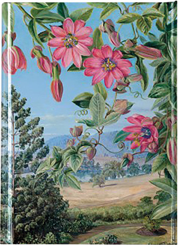 Flame tree Notizbuch A6, liniert, gebunden, Hardcover, 176 Seiten, 80 g/m² – mehrfarbig