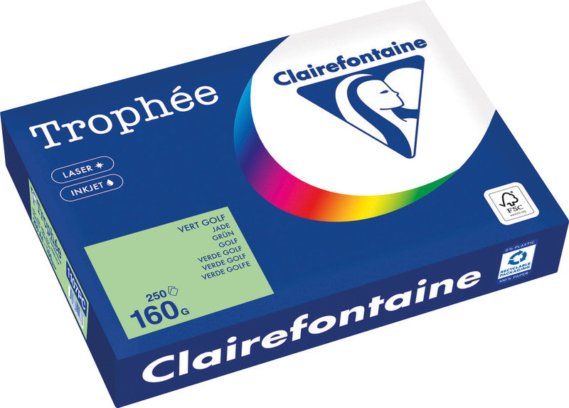 Clairefontaine Kopierpapier – A4, 160 g/m², Grün – für Drucker und Kopierer – FSC, EU Ecolabel – 250 Blatt
