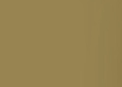 Caran d-Ache Caran d'Ache – Acrylfarbe – Gold, 250 ml
