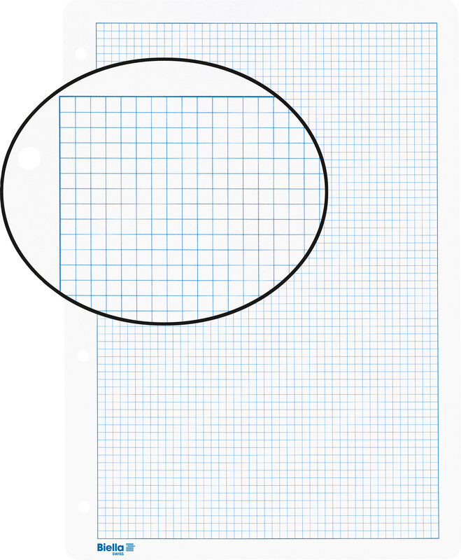 Biella Notizbuch-Einlagen A4, kariert 4 mm, mit Rand, 4-fach gelocht, 90 g/m² – 100 Blatt