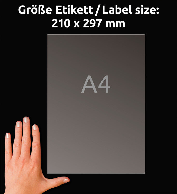Avery Drucketiketten, 210 mm × 297 mm, transparent, Folie, permanent, 25 Blatt