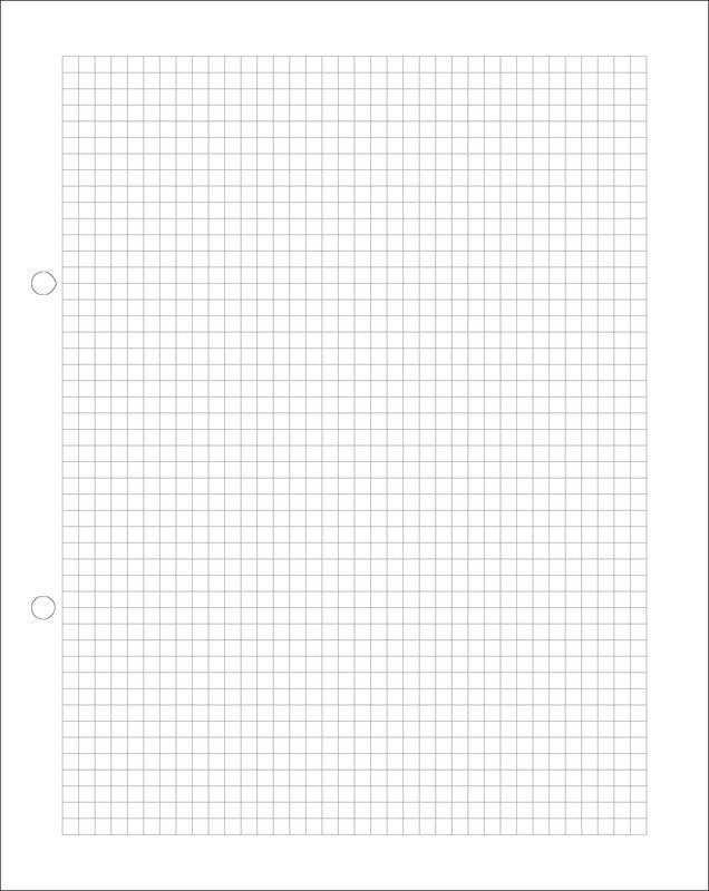 Natura line Notizbuch-Einlagen 220 × 175 mm, kariert 4 mm, mit Rahmen, 2-fach gelocht, 90 g/m² – 500 Blatt