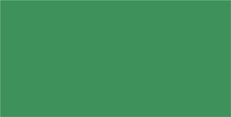 Folia Zeichenpapier A4, 130 g/m², 100 Blatt, Moosgrün, Strukturiert, Säurefrei, PEFC