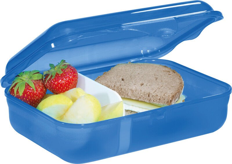 Step by Step Brotdose – 0,9 l – Kunststoff – mit Innenteiler, spülmaschinenfest – Motiv Manta Rio