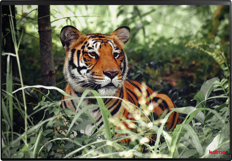 Kolma Schreibunterlage Undercover Poster – Tiger – 500 × 340 mm – PP, rutschfest