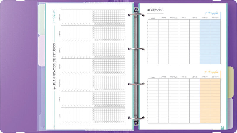 Carchivo Ringbuch – A4 Hochformat – 4-Ring, Ø 35 mm, Rücken 40 mm – Violett, Kunststoff, mit Raumsparösen