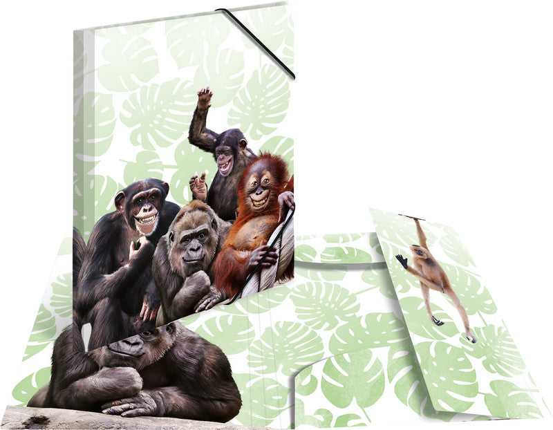 HERMA Sammelmappe für A4, Kunststoff, mehrfarbig, mit Gummizug