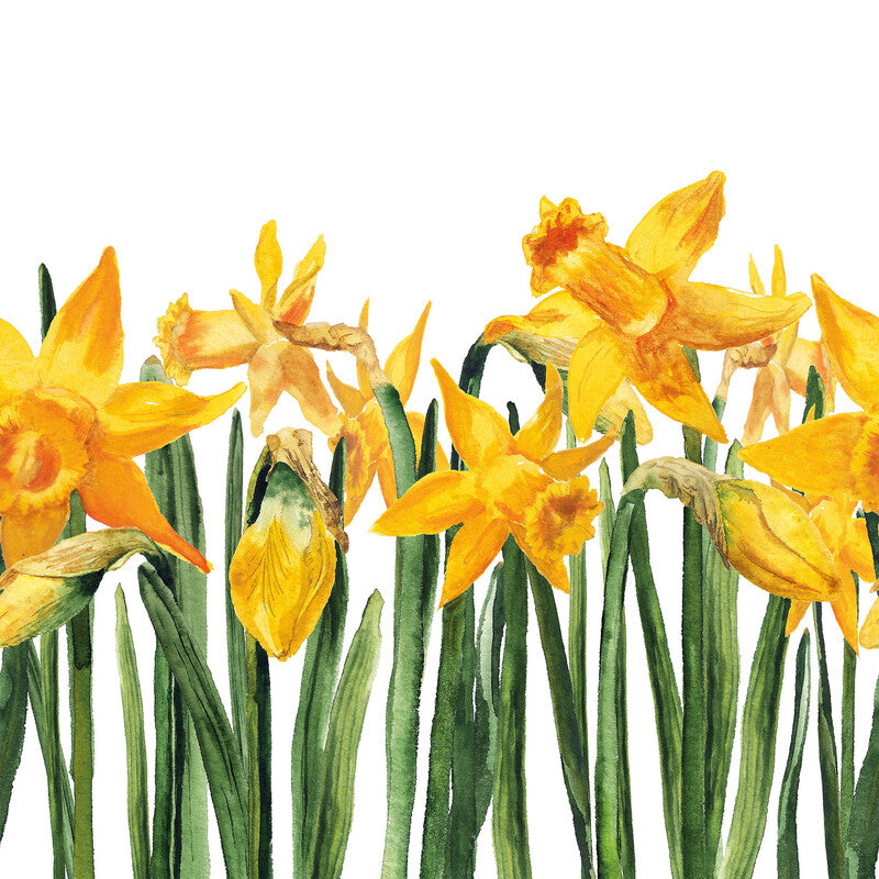 Fasana Servietten Bright Daffodils – 33 × 33 cm – 3-lagig, Tissue – 20 Stk., FSC